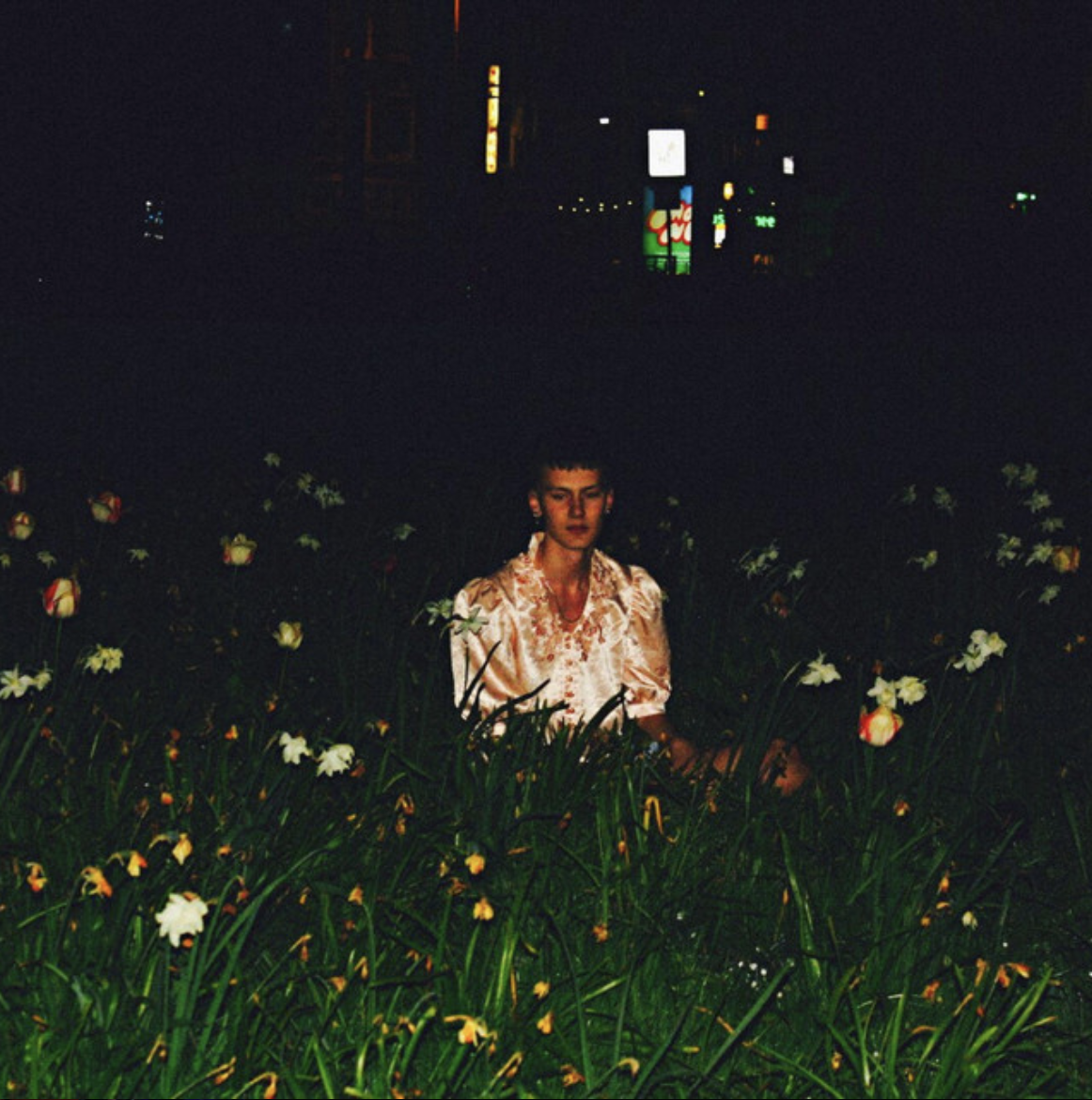 Person standing in a flower field at night illuminated by warm lights against a dark background.